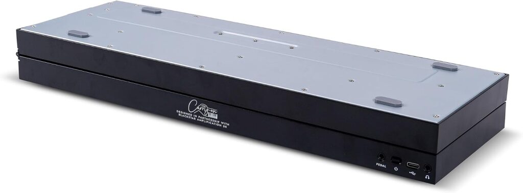 Carry-on 49-Key Piano